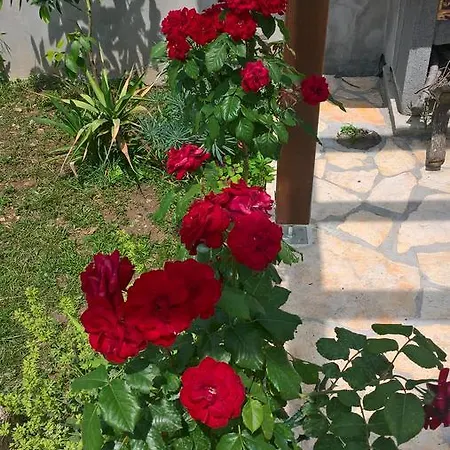 Holiday Arbanase Ζαντάρ